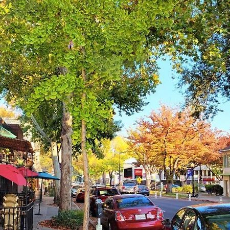 Artist'S Retreat Near The Heart Of The City Sacramento Ngoại thất bức ảnh